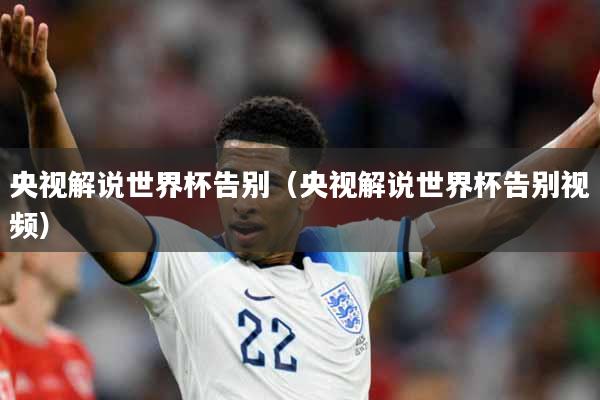 央视解说世界杯告别（央视解说世界杯告别视频）