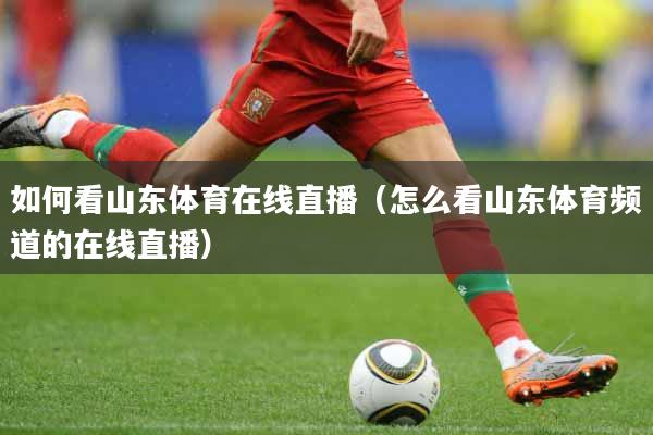 如何看山东体育在线直播（怎么看山东体育频道的在线直播）